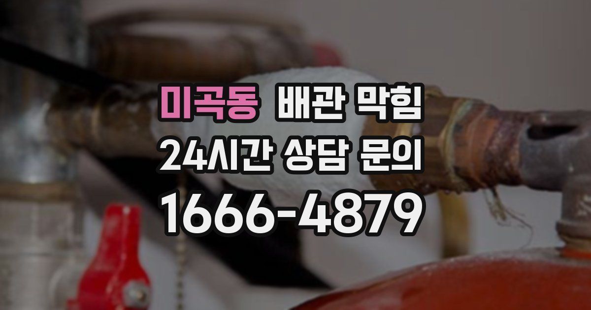 미곡동 배관 막힘