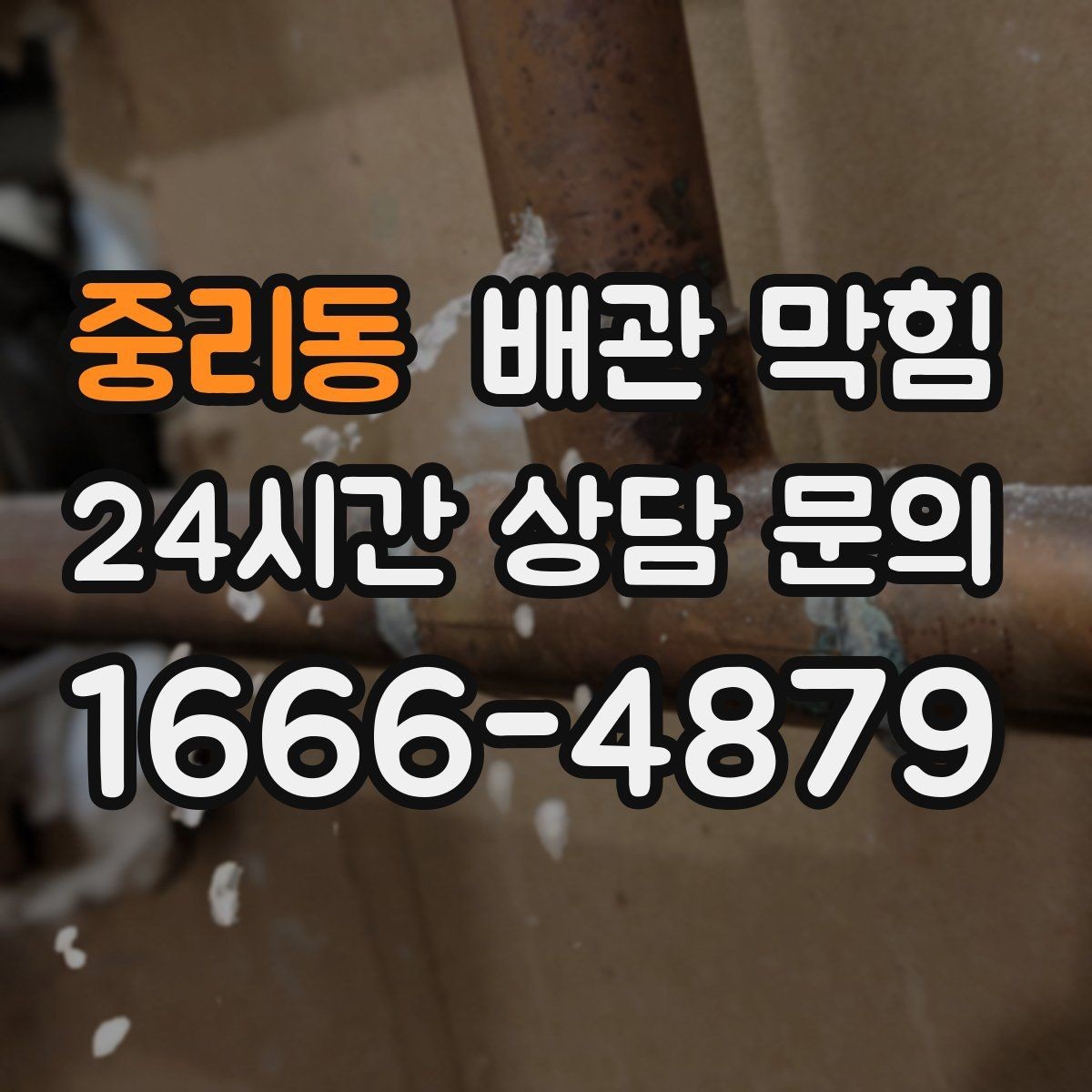 중리동 배관 막힘 화장실(변기) 세면대 싱크대 라인가 동시에 이상하면 주의