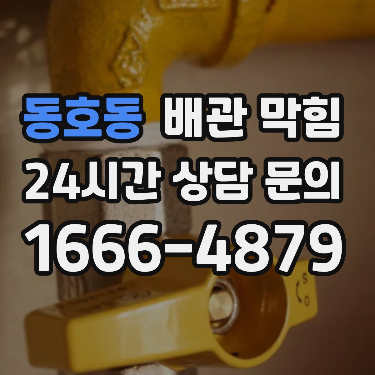 동호동 배관 막힘