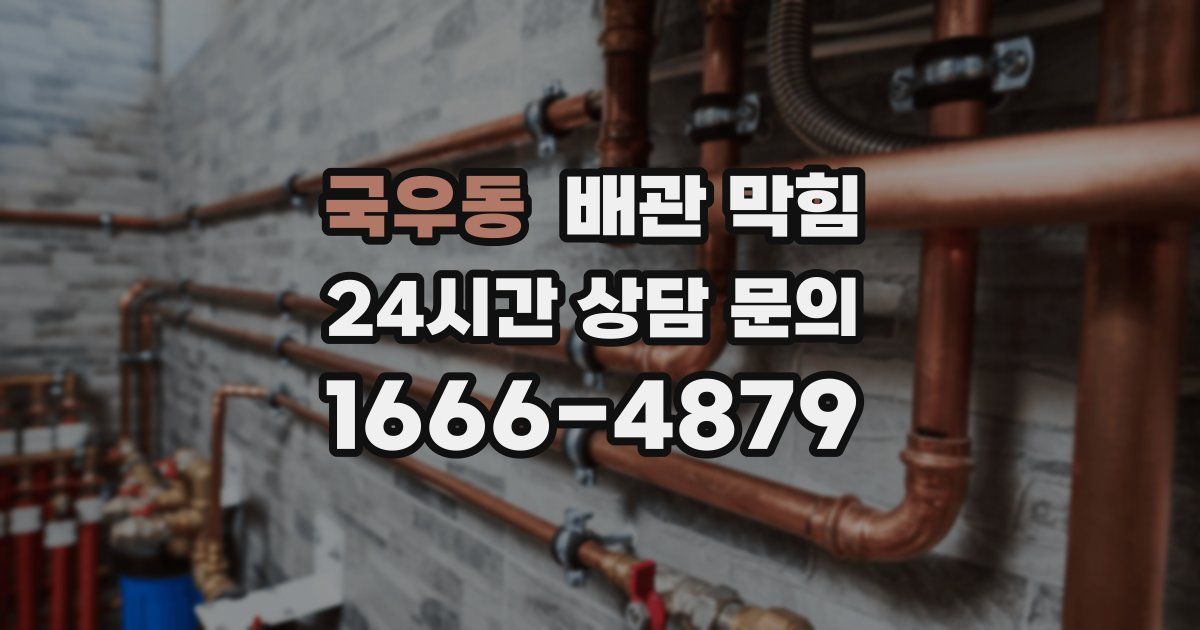 국우동 배관 막힘
