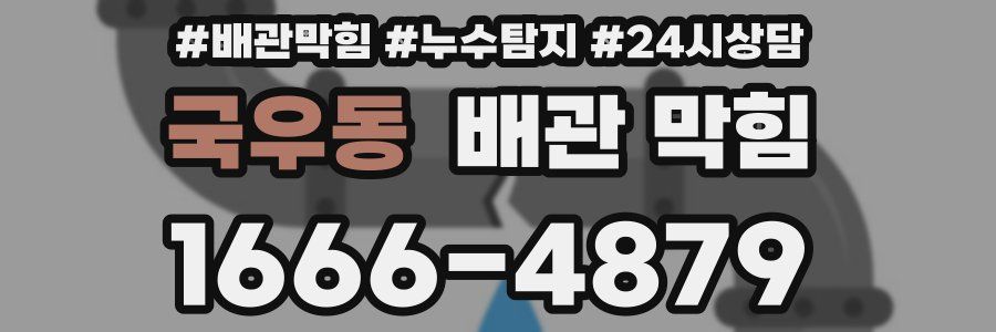 국우동 배관 막힘