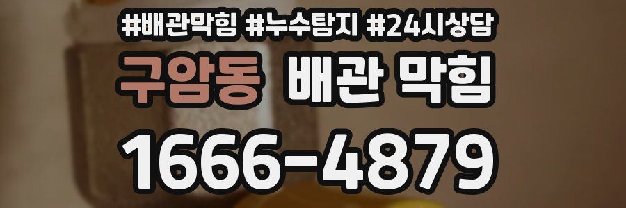 구암동 배관 막힘