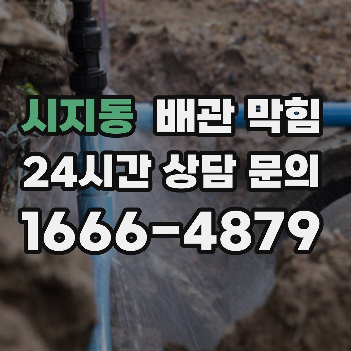 시지동 배관 막힘 배수구 커버 아래가 끈적하면 위험 신호