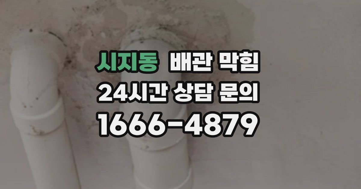 시지동 배관 막힘