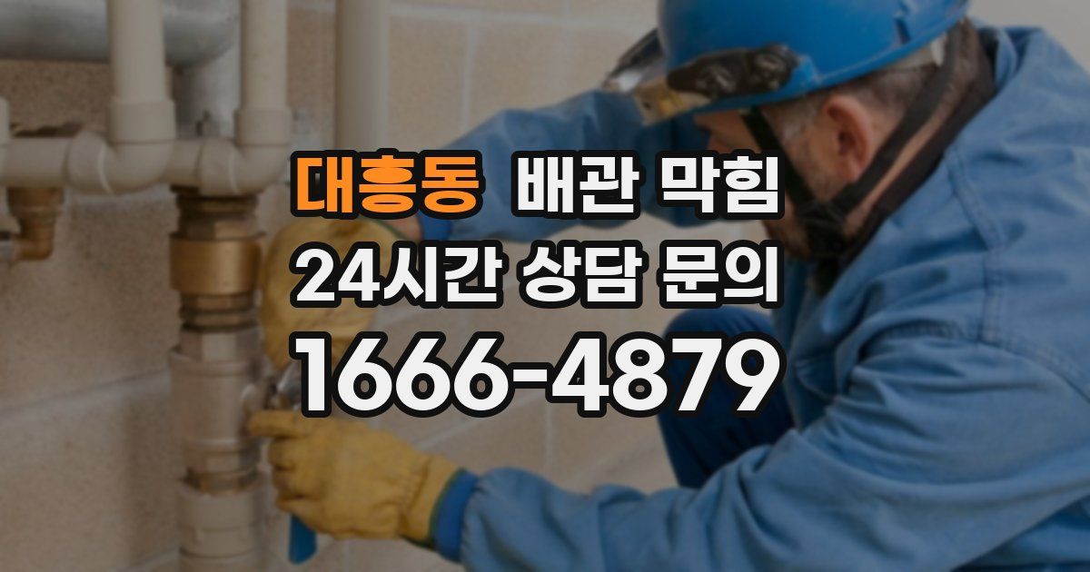 대흥동 배관 막힘