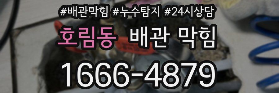 호림동 배관 막힘