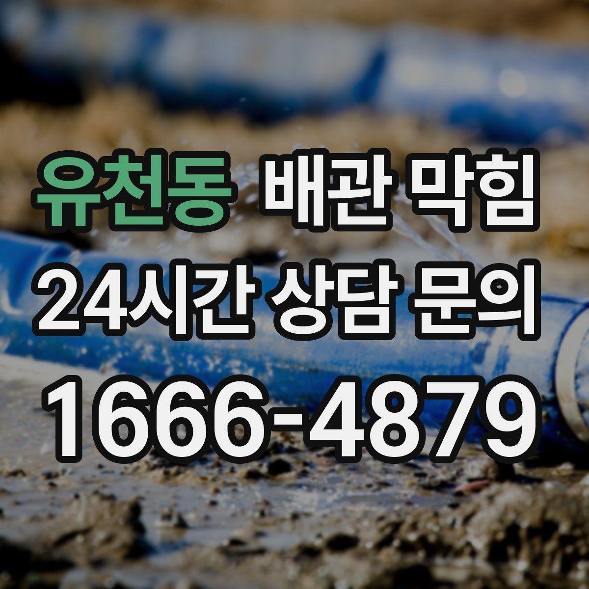 유천동 배관 막힘 주방 기름때를 줄이는 현실적인 습관