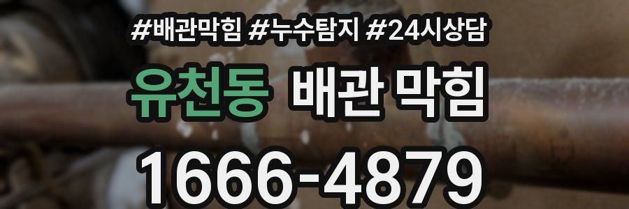 유천동 배관 막힘