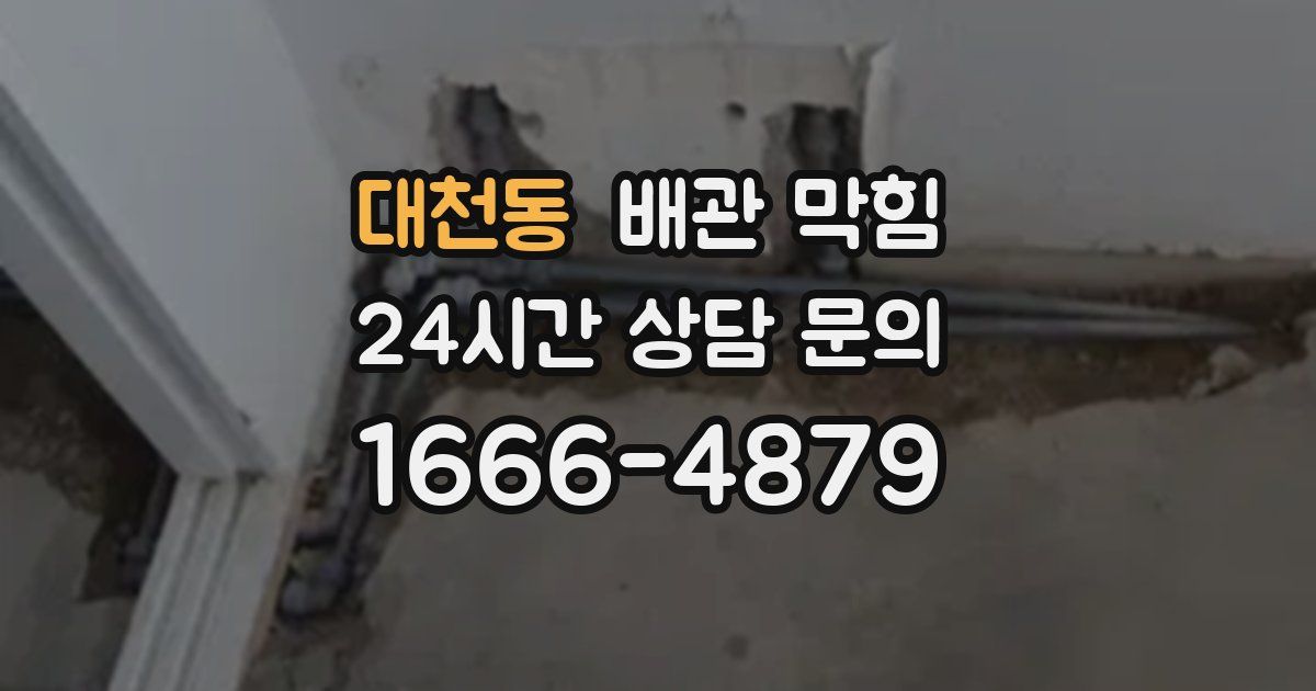 대천동 배관 막힘