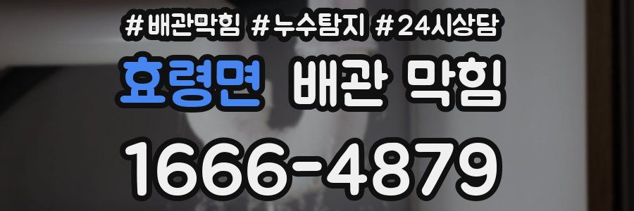 효령면 배관 막힘