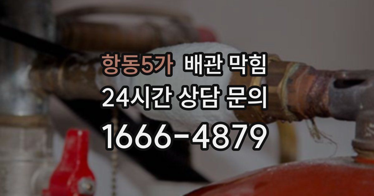 항동5가 배관 막힘