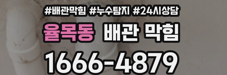 율목동 배관 막힘