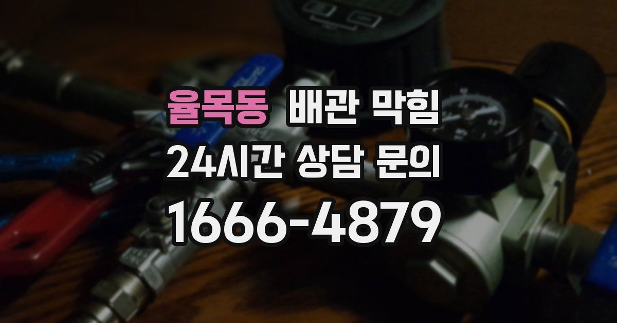 율목동 배관 막힘