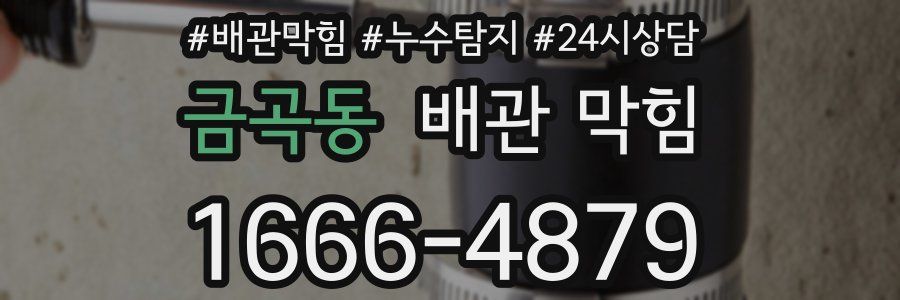 금곡동 배관 막힘