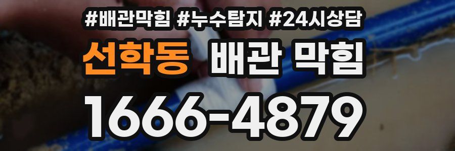 선학동 배관 막힘
