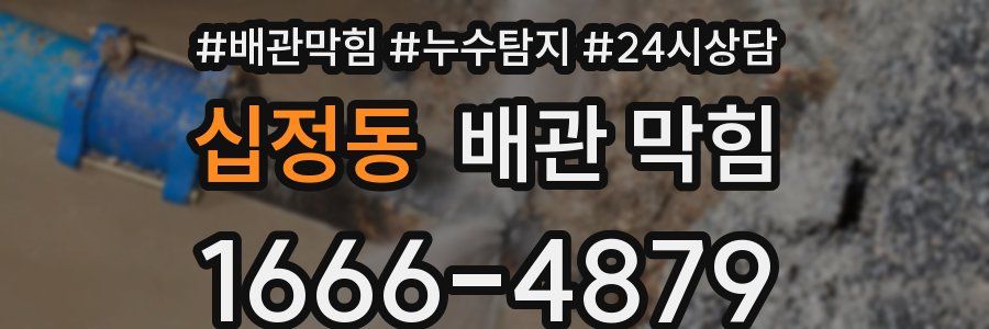 십정동 배관 막힘