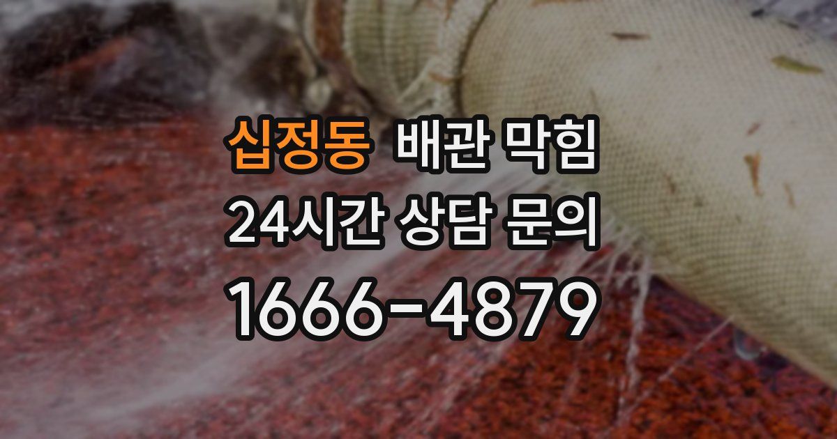 십정동 배관 막힘