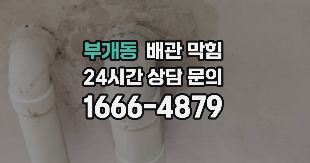 부개동 배관 막힘