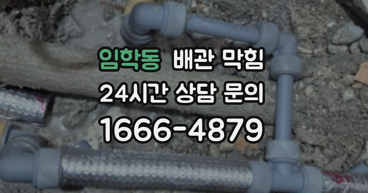 임학동 배관 막힘