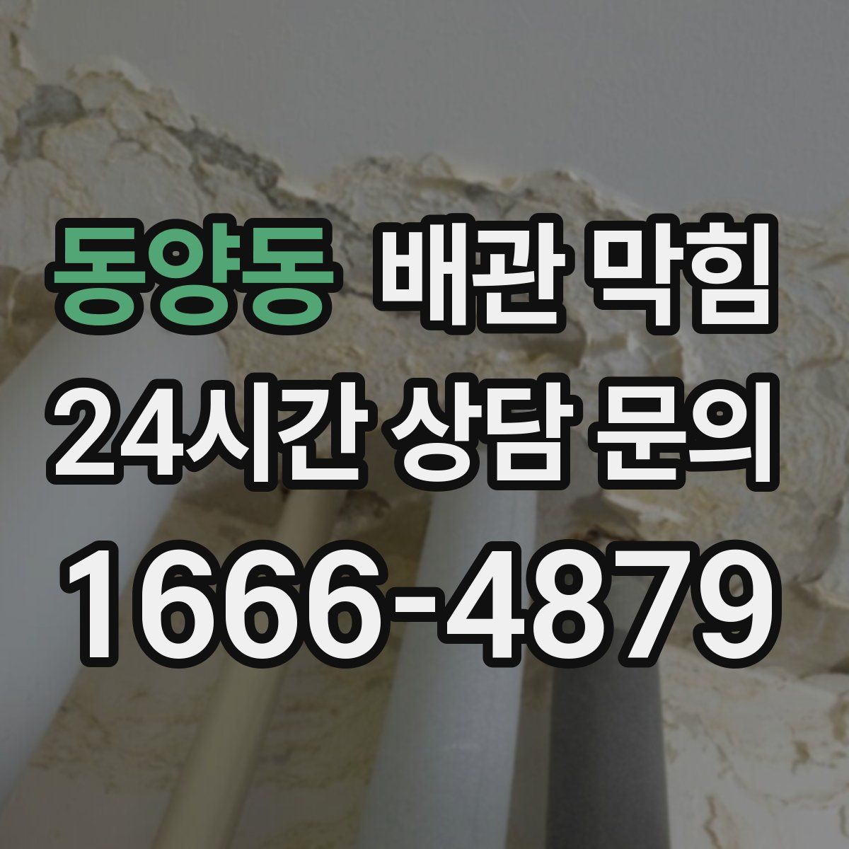 동양동 배관 막힘