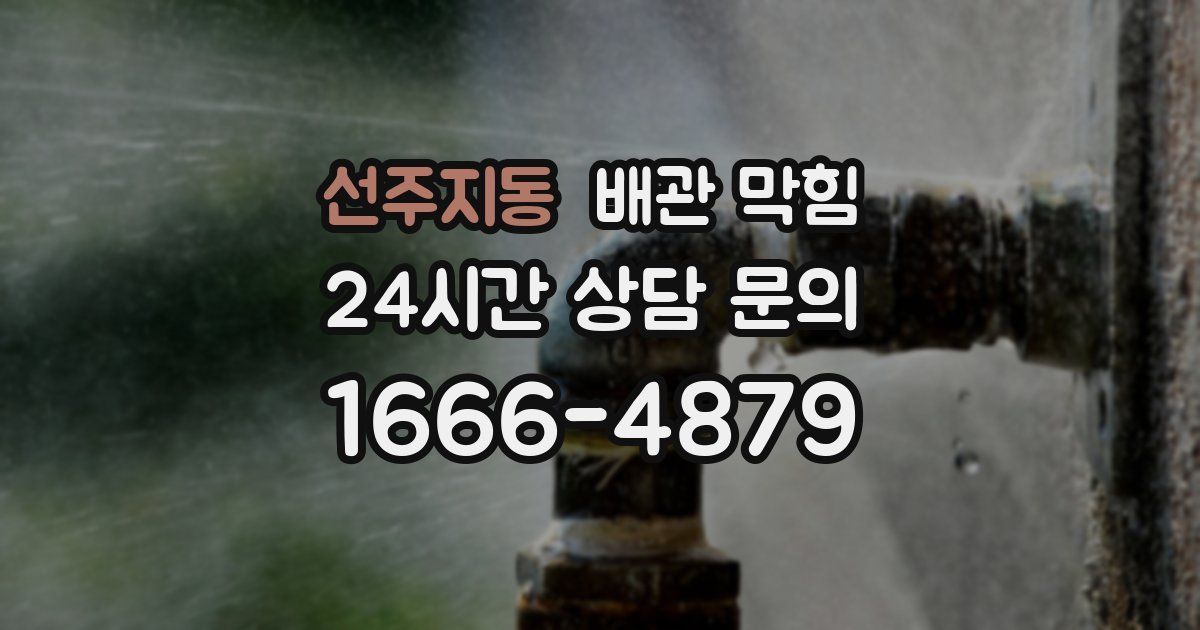 선주지동 배관 막힘