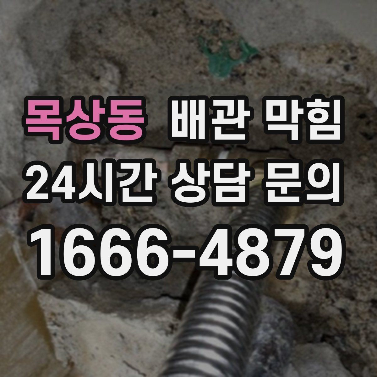 목상동 배관 막힘 비가 오면 배수구가 올라오는 이유