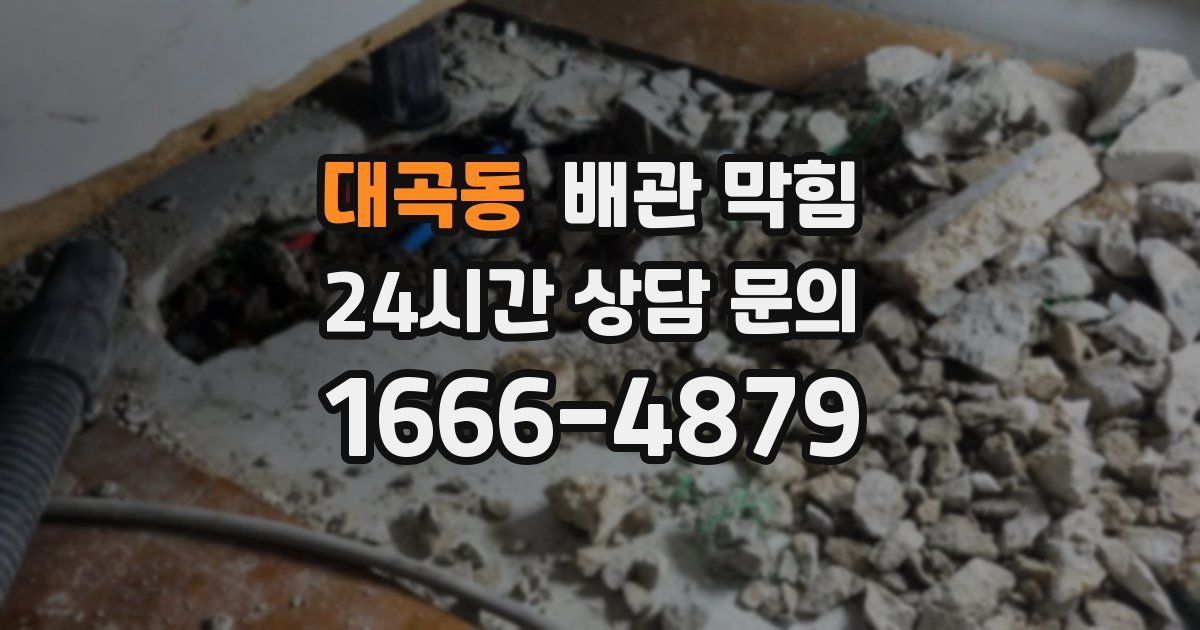 대곡동 배관 막힘