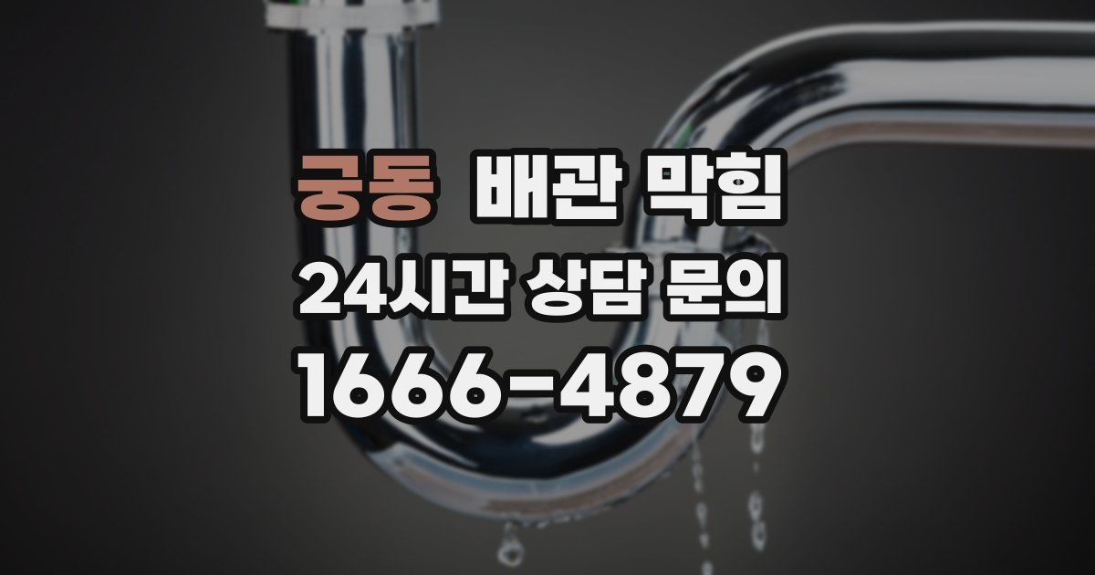 궁동 배관 막힘
