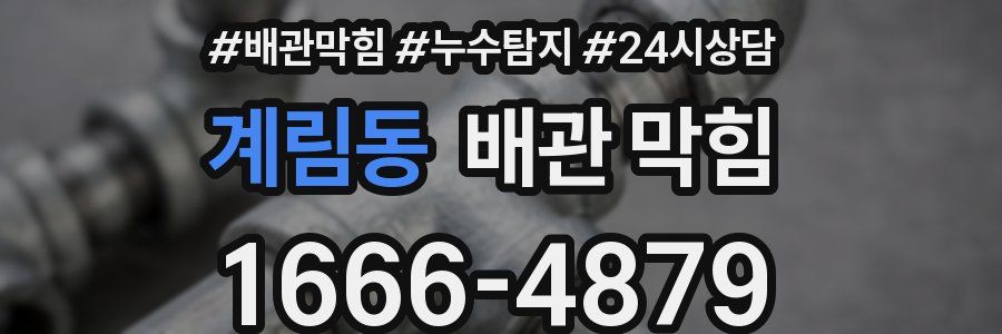 계림동 배관 막힘