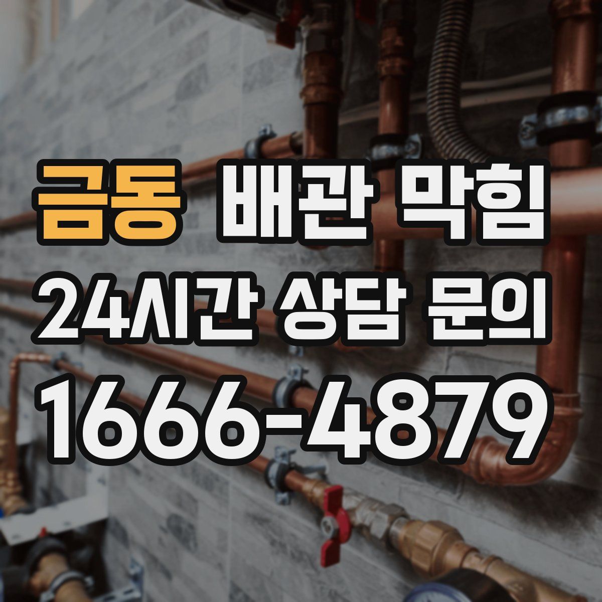 금동 배관 막힘