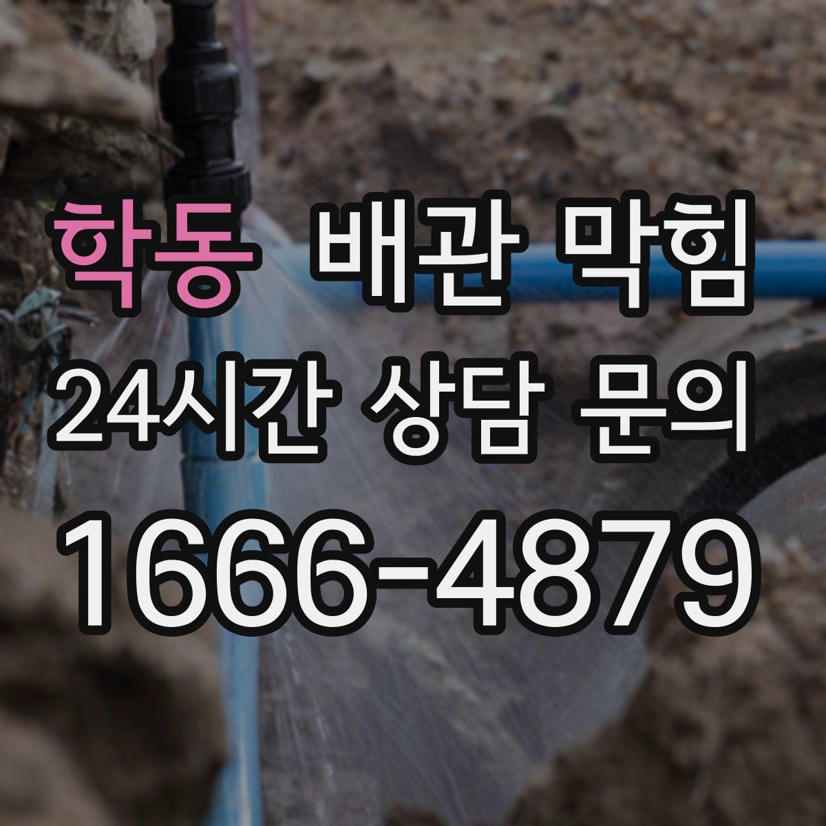 학동 배관 막힘