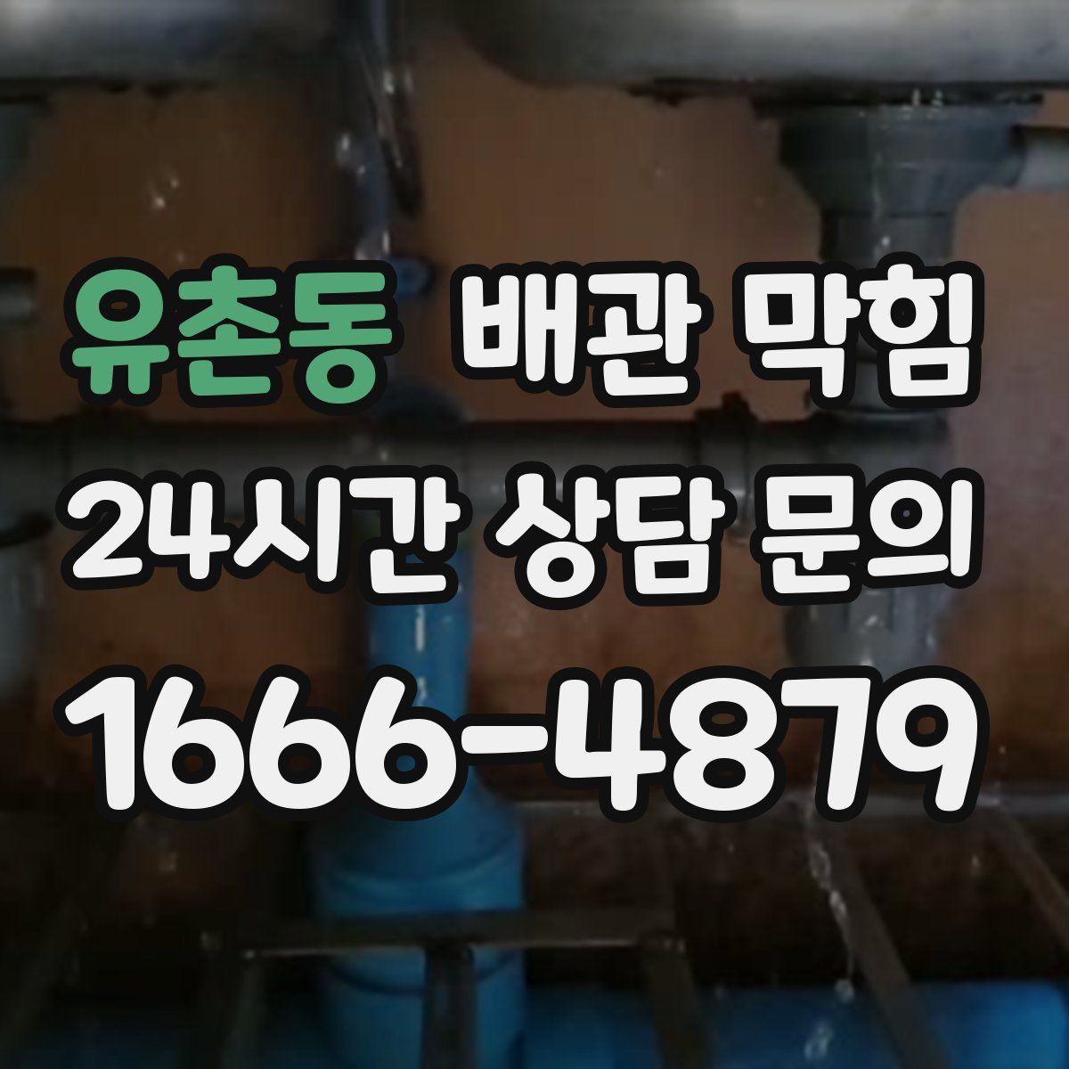 유촌동 배관 막힘