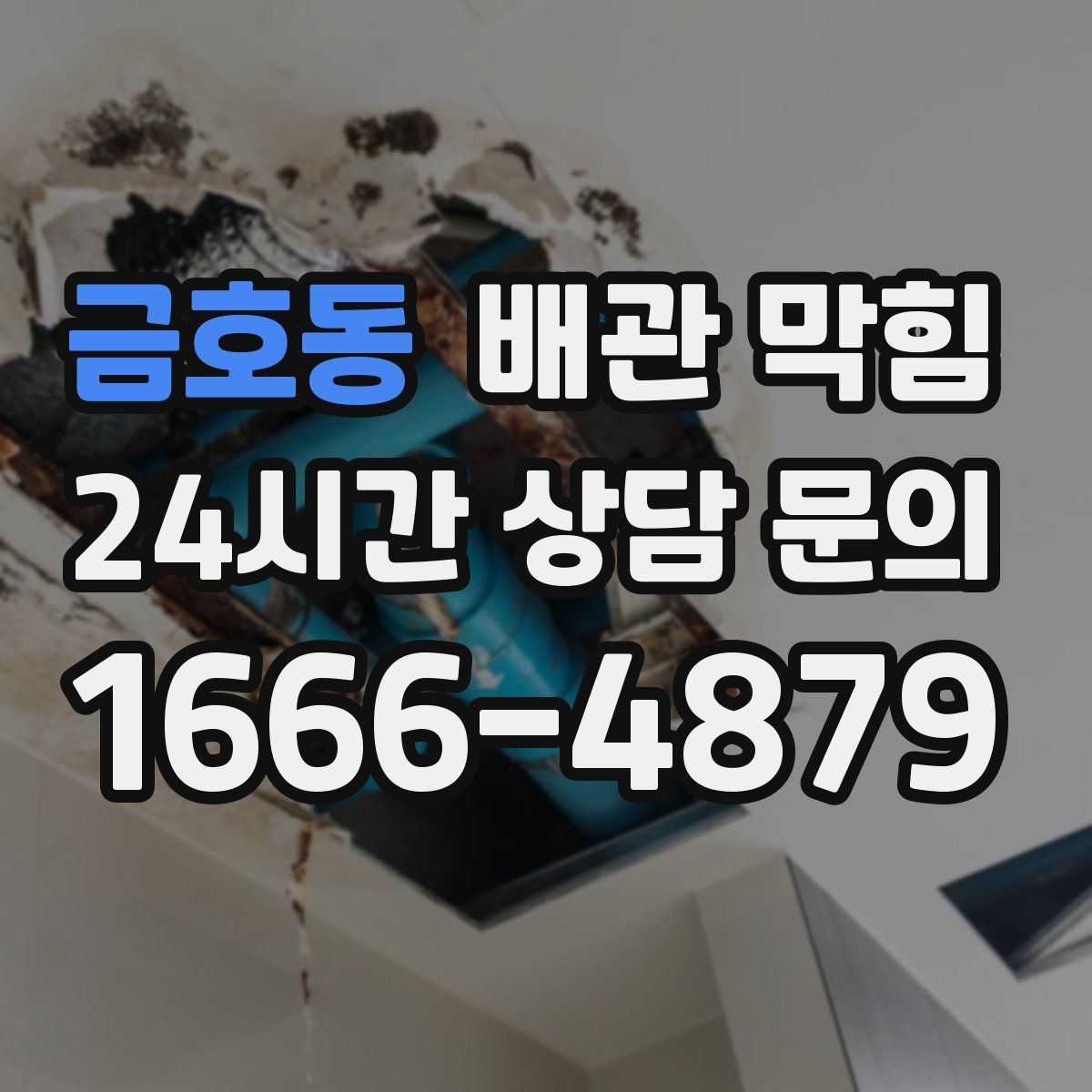 금호동 배관 막힘