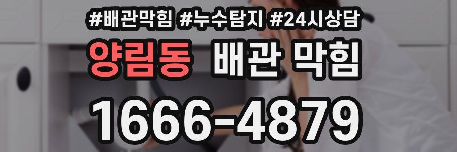 양림동 배관 막힘