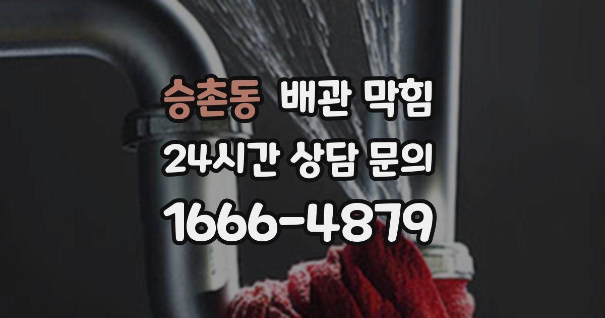 승촌동 배관 막힘