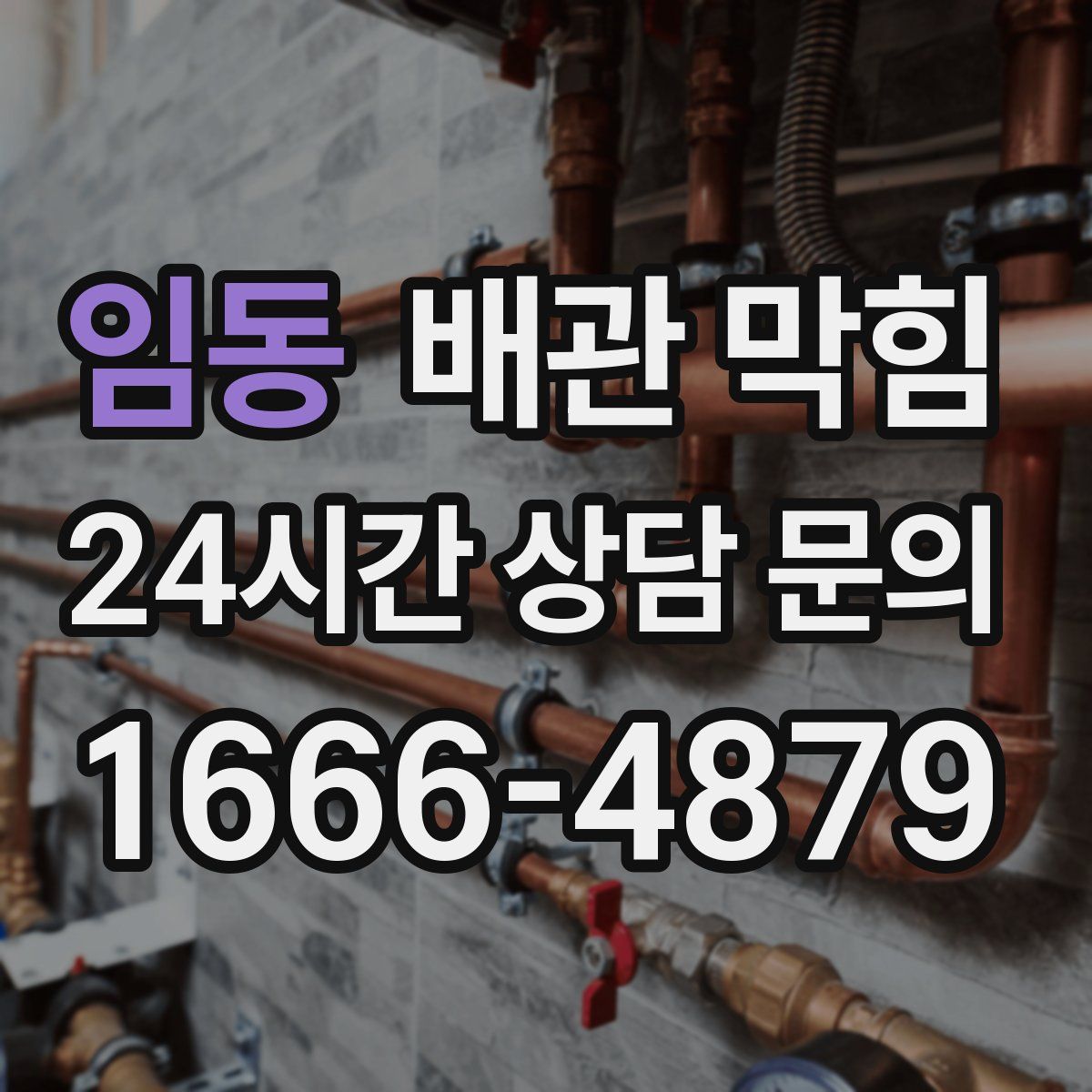 임동 배관 막힘