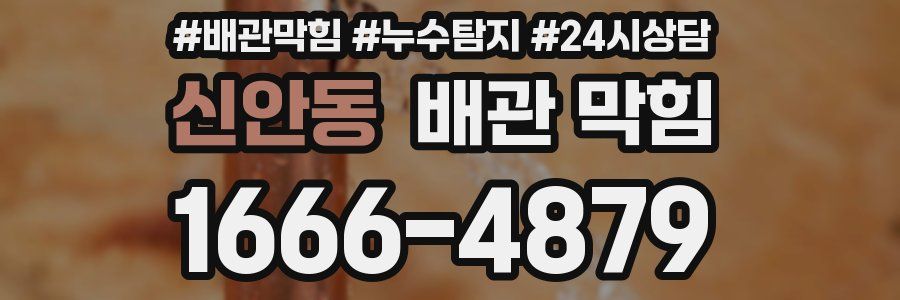 신안동 배관 막힘