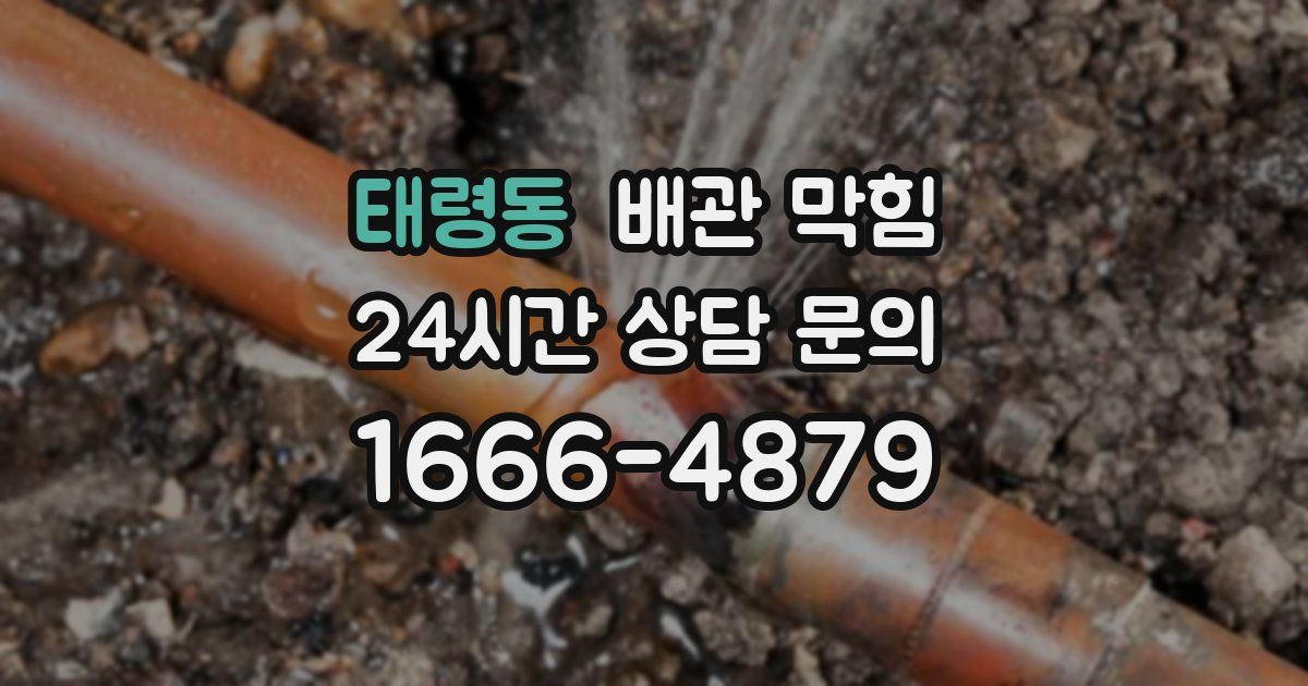 태령동 배관 막힘