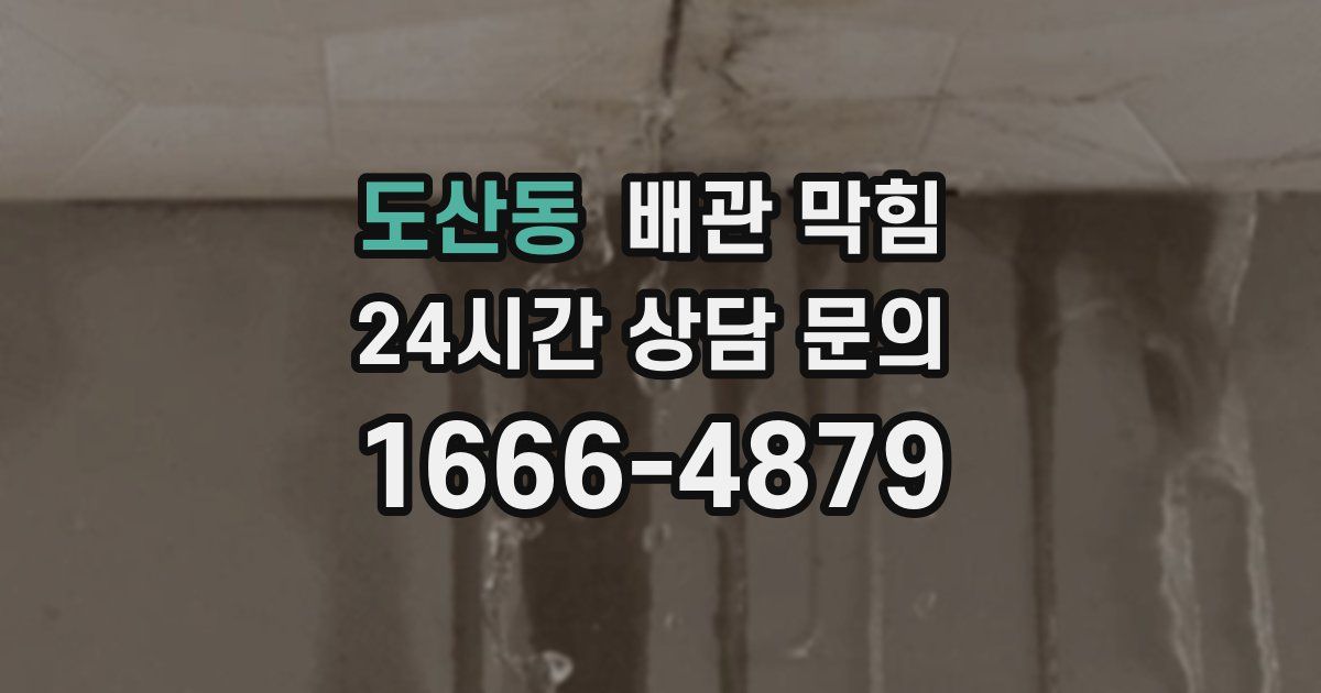 도산동 배관 막힘