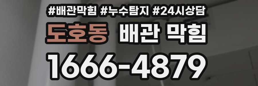 도호동 배관 막힘