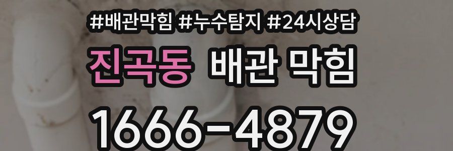 진곡동 배관 막힘