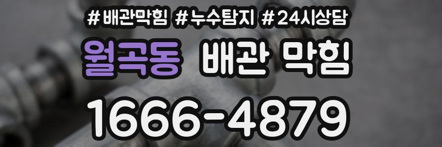 월곡동 배관 막힘