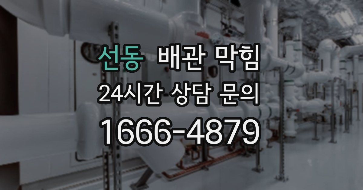 선동 배관 막힘