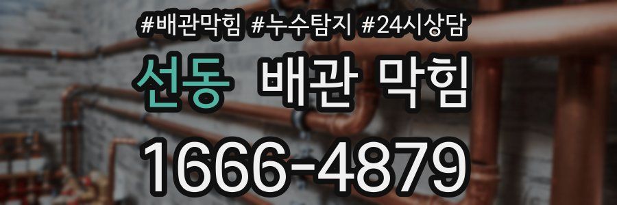 선동 배관 막힘