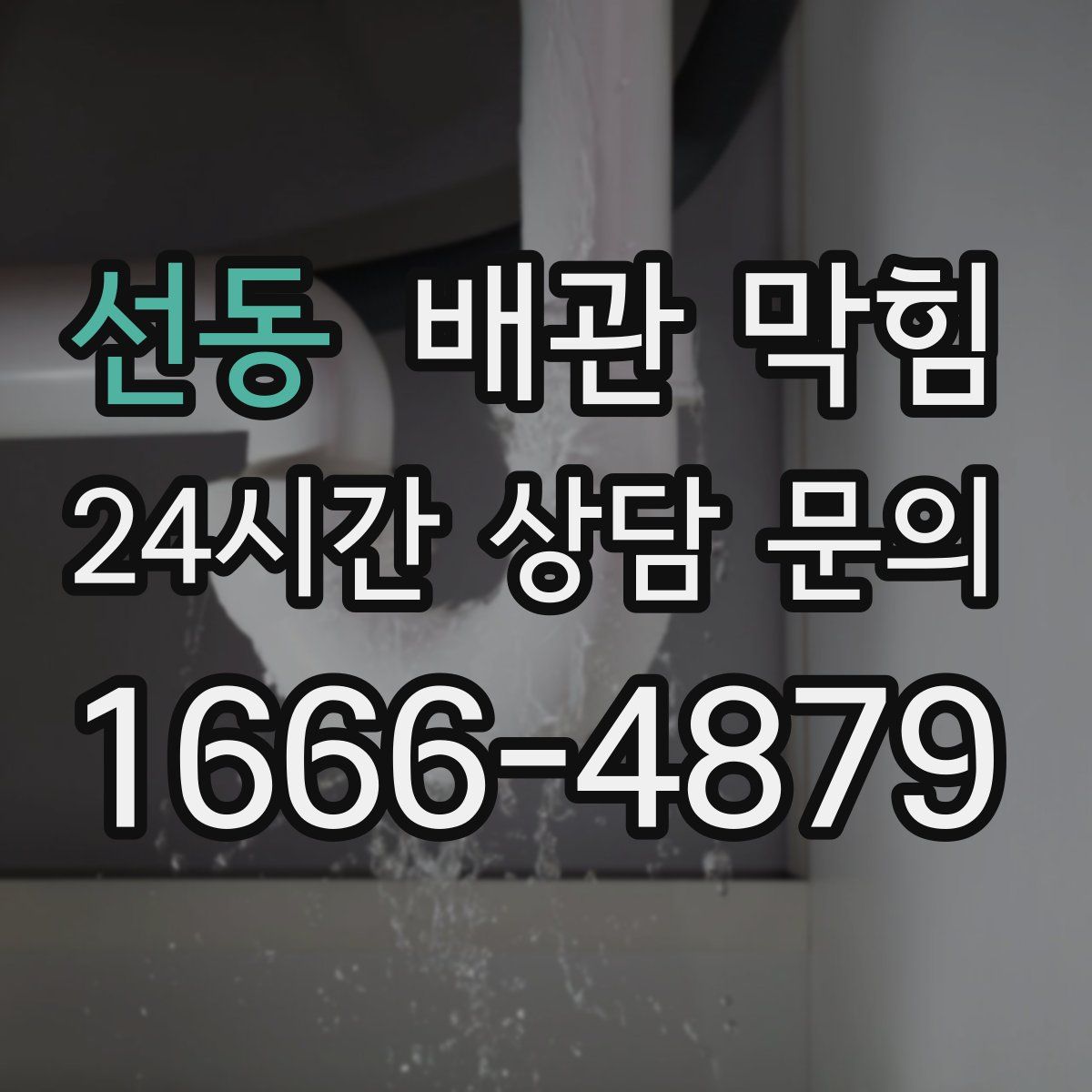 선동 배관 막힘