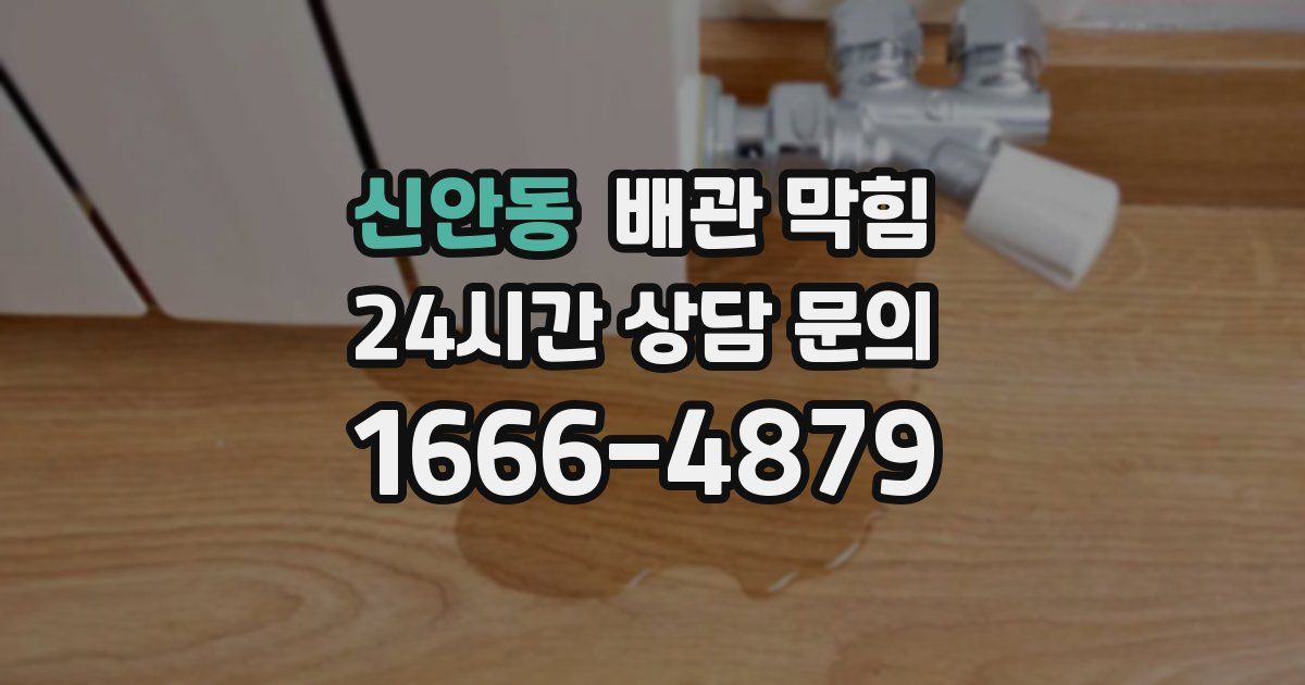 신안동 배관 막힘