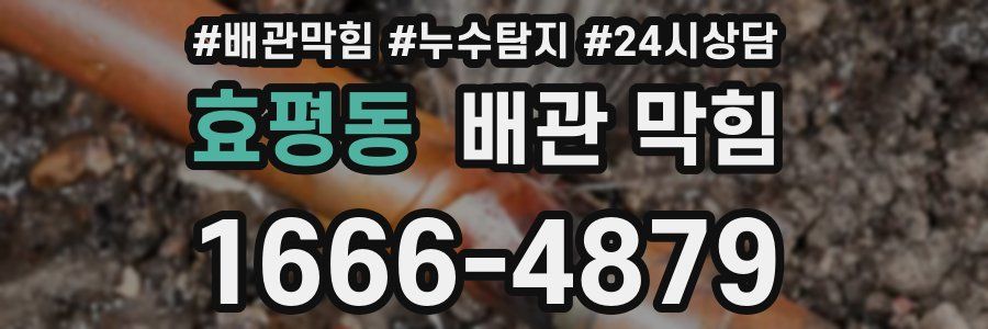 효평동 배관 막힘