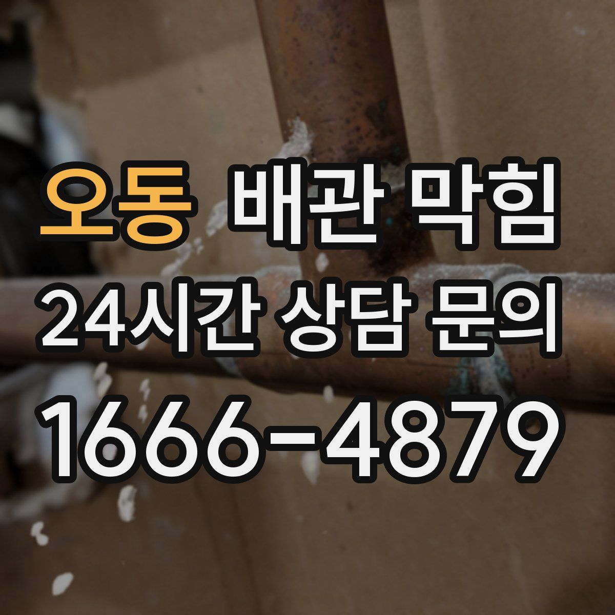 오동 배관 막힘