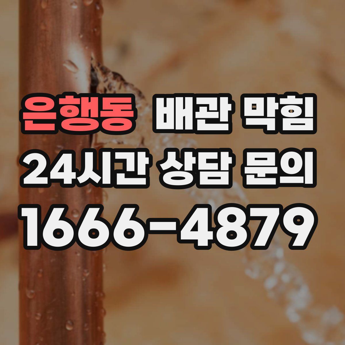 은행동 배관 막힘