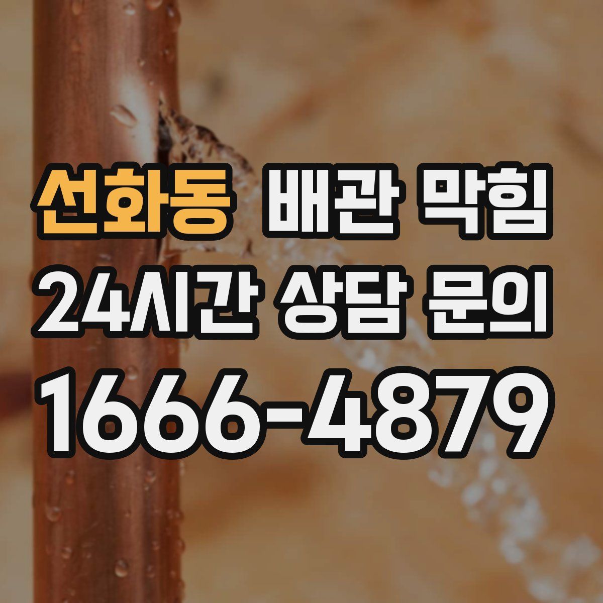 선화동 배관 막힘